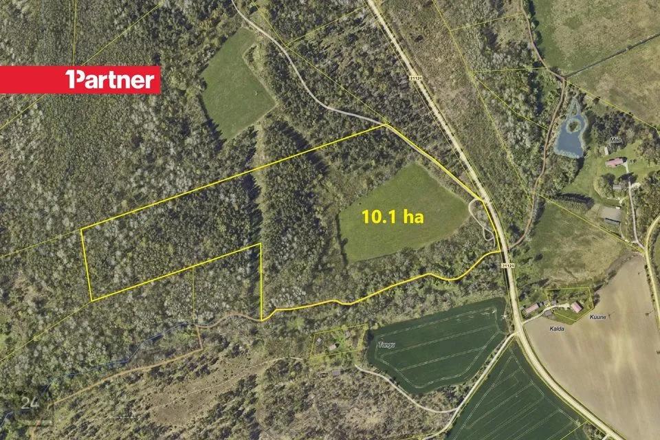 Maatulundusmaa, 101462 m² Maa  -  Saaremaa vald, Maleva küla - foto 2