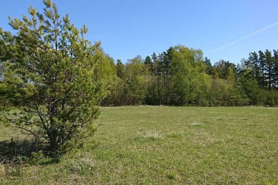 Maatulundusmaa, 11026 m² Maa - Muhu vald, Tupenurme küla - foto 3