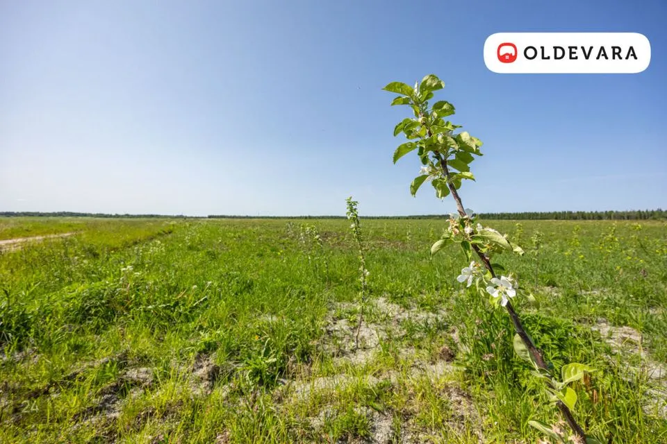 Maatulundusmaa, 39798 m² Maa  -  Saue vald, Tuula küla - foto 3