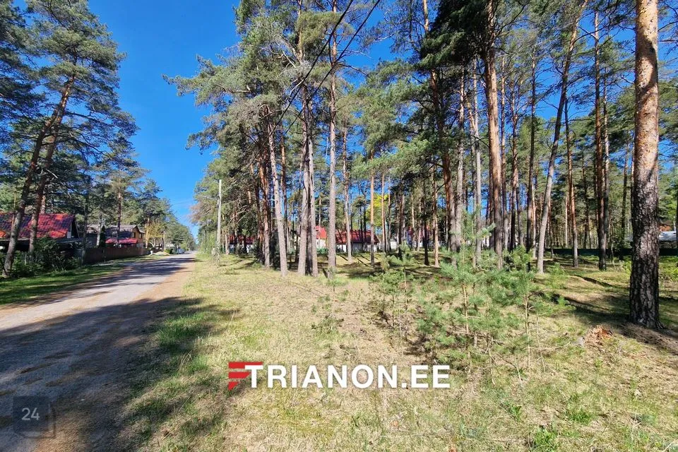 Elamumaa, 1467 m² Maa - Narva-Jõesuu linn, Narva-Jõesuu linn - foto 5