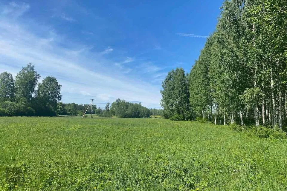 Maatulundusmaa, 51200 m² Maa  -  Türi vald, Jändja küla