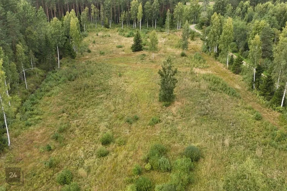 Maatulundusmaa, 19415 m² Maa  -  Mustvee vald, Separa küla
