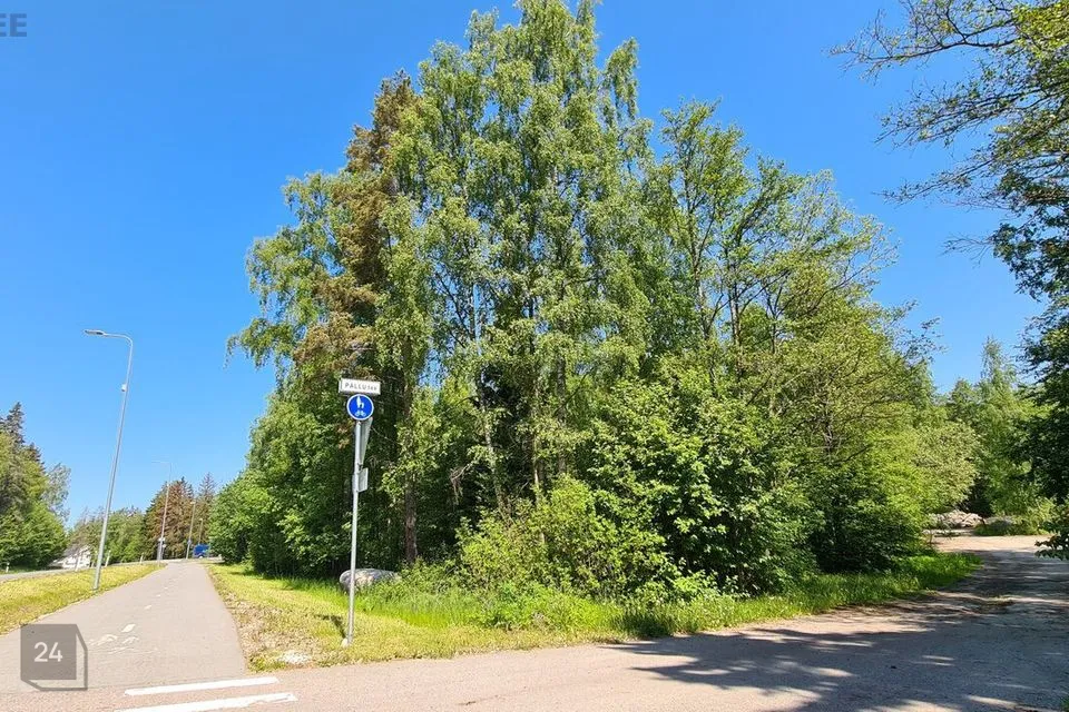 Elamumaa, 2093 m² Maa  -  Viimsi vald, Tammneeme küla - foto 3