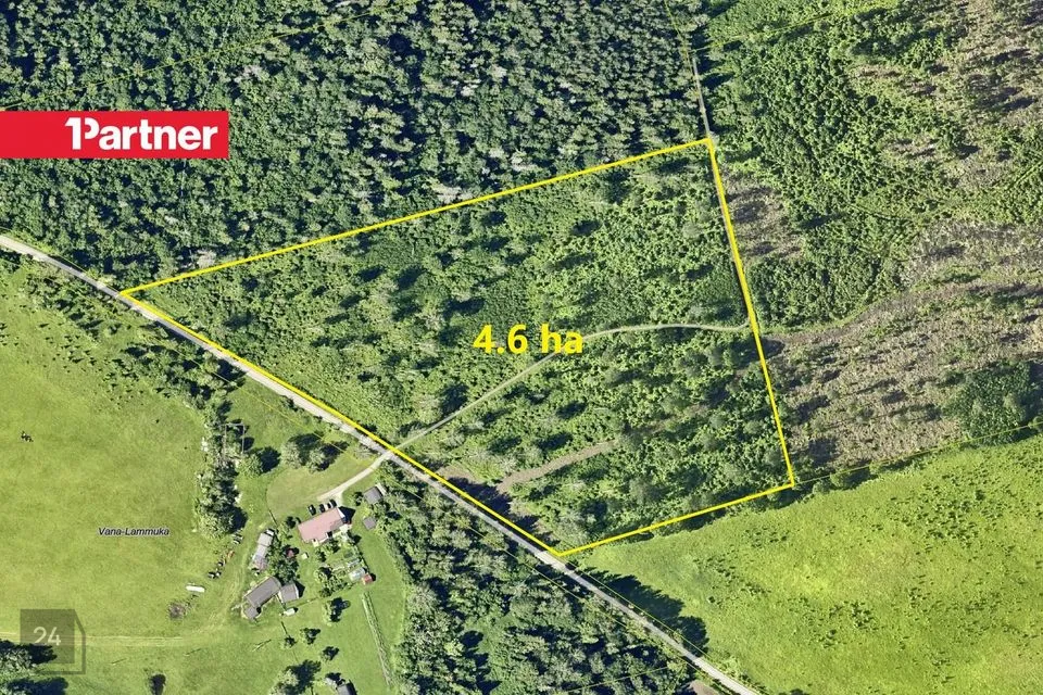 Maatulundusmaa, 46052 m² участок в Rapla vald, Kodila-Metsküla - фото 4