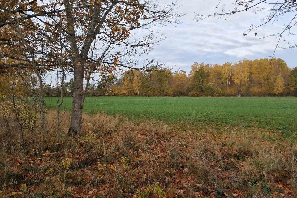 Maatulundusmaa, 25000 m² Maa - Saaremaa vald, Leisi küla - foto 2