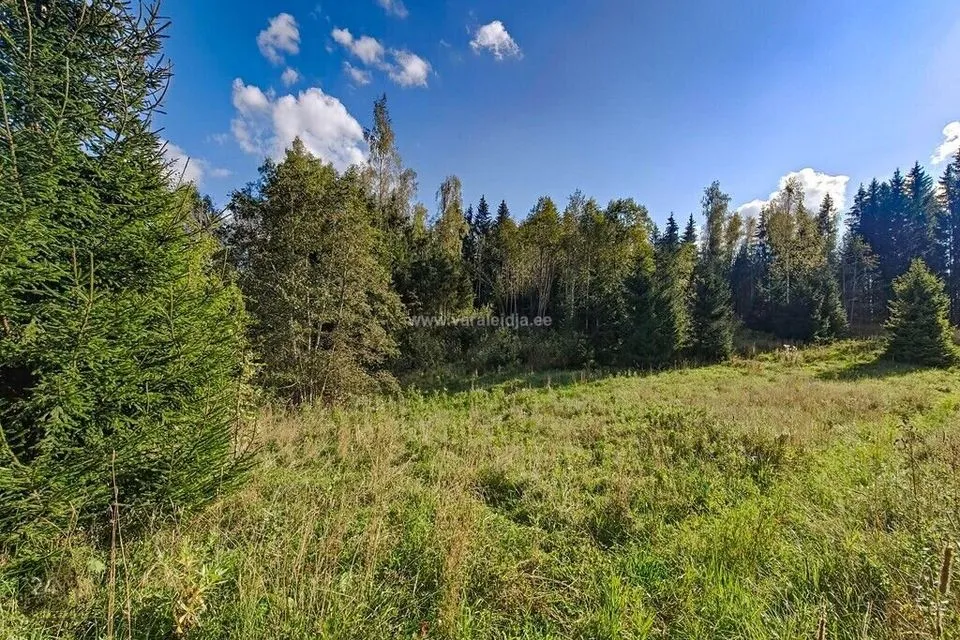Maatulundusmaa, 58809 m² Maa  -  Otepää vald, Sihva küla - foto 3