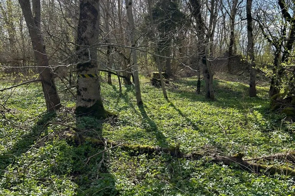 332 m² Äripind - Lääneranna vald, Kloostri küla - foto 4