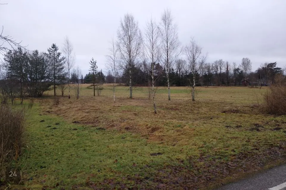 Tootmismaa, 12660 m² Maa - Järva vald, Ambla alevik