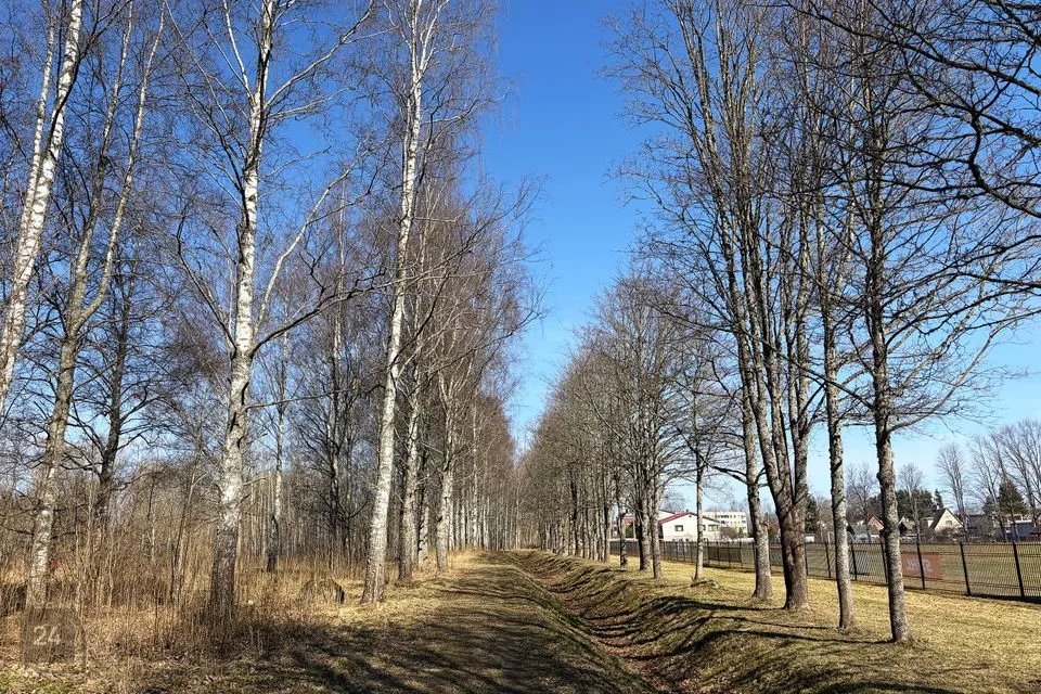 Земля жилой застройки, 1329 m² участок в Peipsiääre vald, Kallaste linn - фото 4
