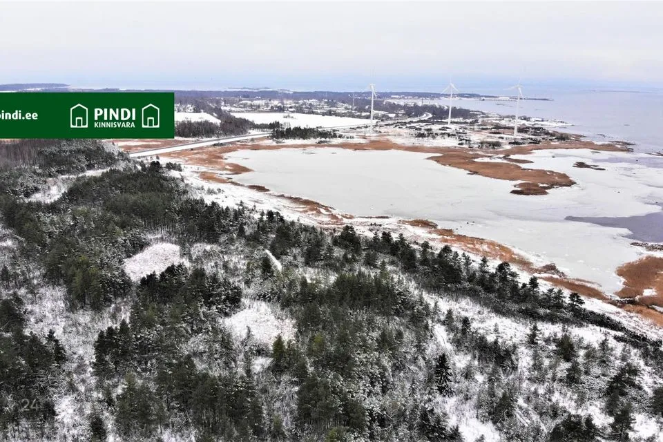 Maatulundusmaa, 98800 m² участок в Lääneranna vald, Esivere küla - фото 5
