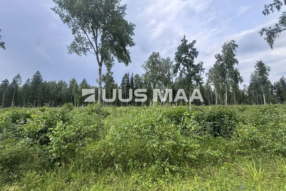 Maatulundusmaa, 12434 m² Maa - Kohila vald, Mälivere küla - foto 2
