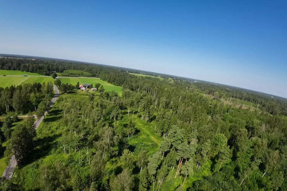 Sotsiaalmaa - üldkasutatav maa, 30000 m² Maa  -  Kehtna vald, Hertu küla - foto 3