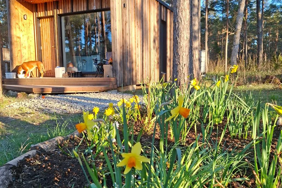 1-toaline Maja  -  Saaremaa vald, Pulli küla