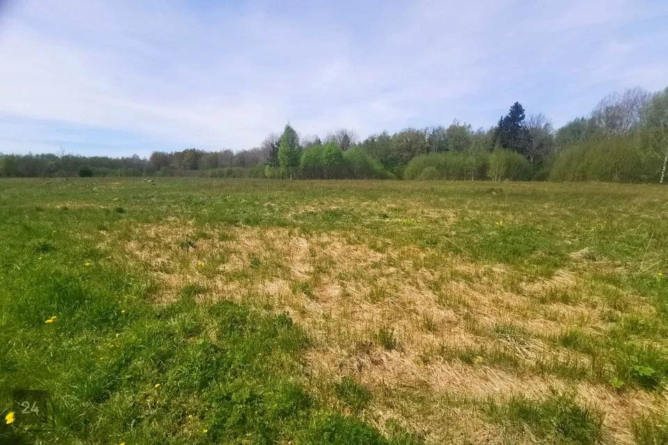 Cultivated land, 21300 m² land in Lääne-Nigula vald, Keedika küla - photo 4