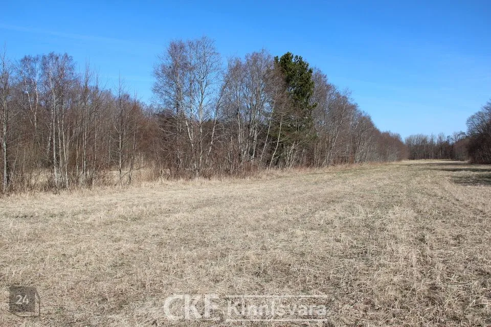6624 m² участок в Saaremaa vald, Nasva alevik