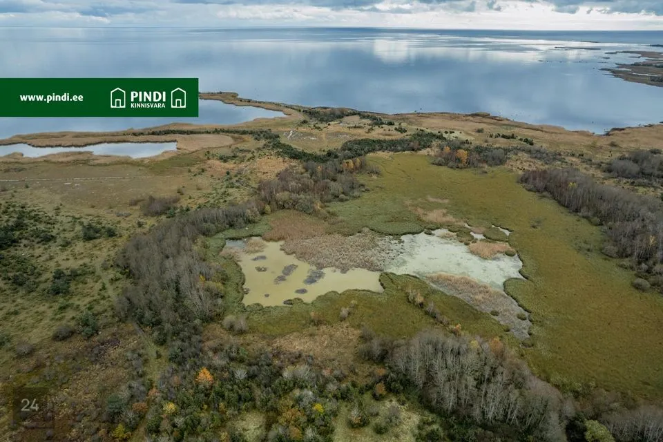 Cultivated land, 68877 m² land in Saaremaa vald, Kungla küla