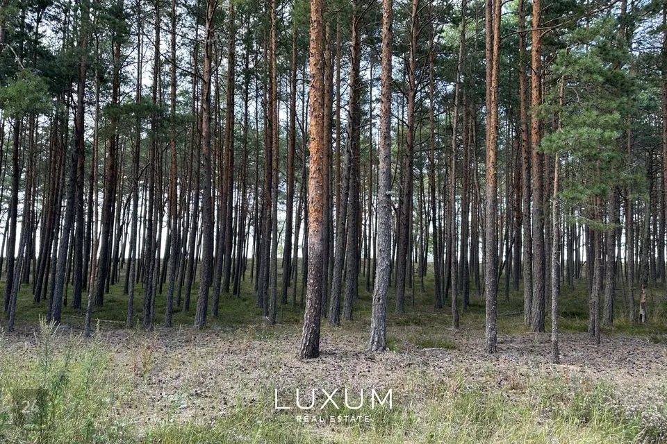 Земля жилой застройки, 7381 m² участок в Lääne-Harju vald, Laulasmaa küla - фото 3
