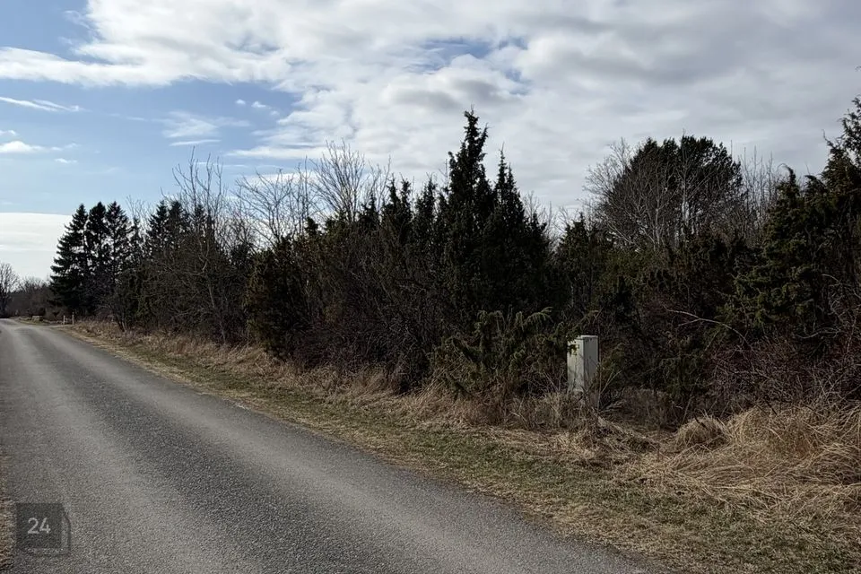 Elamumaa, 10473 m² Maa - Harku vald, Ilmandu küla - foto 4