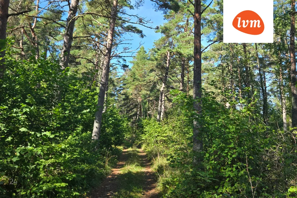 Maatulundusmaa, 59985 m² участок в Lääne-Nigula vald, Telise/Tällnäs - фото 3