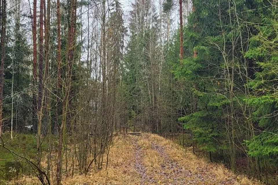 Elamumaa, 11015 m² Maa - Pärnu linn, Paikuse alev - foto 2