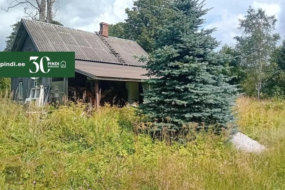 Cultivated land, 22030 m² land in Häädemeeste vald, Urissaare küla - photo 4