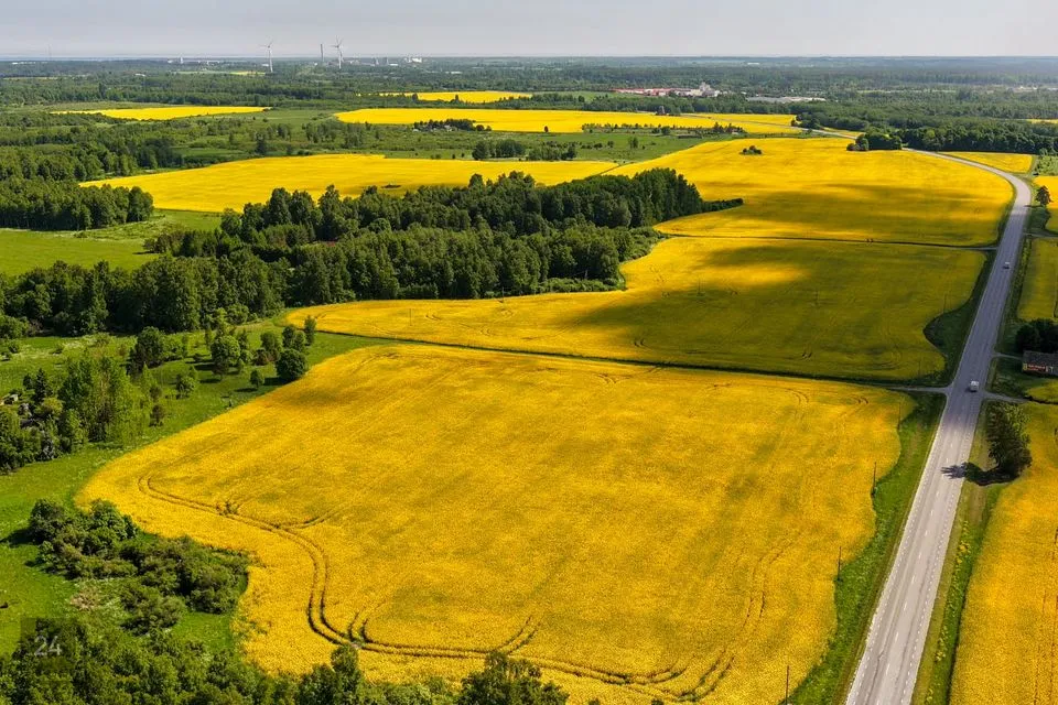 Maatulundusmaa, 1005100 m² Maa  -  Rakvere vald, Andja küla - foto 2