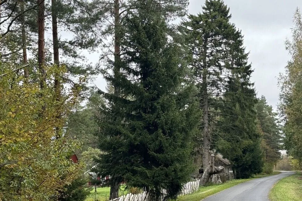 Maatulundusmaa, 5004 m² Maa - Lääne-Nigula vald, Paslepa küla / Pasklep - foto 3