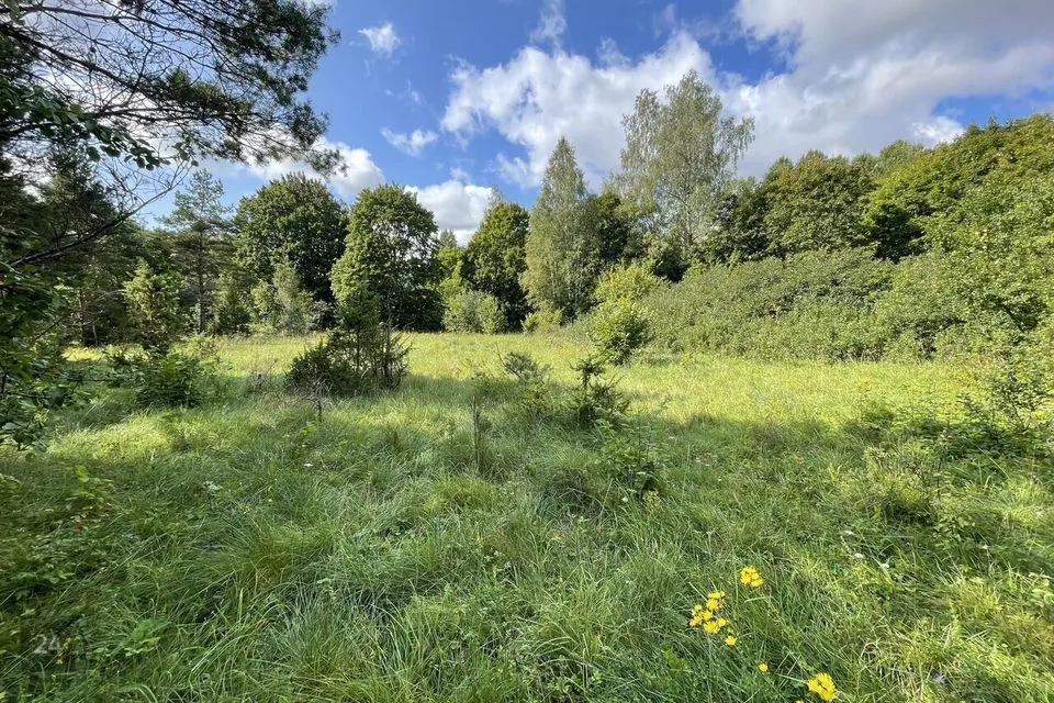 Maatulundusmaa, 25100 m² участок в Saaremaa vald, Vilidu küla - фото 2