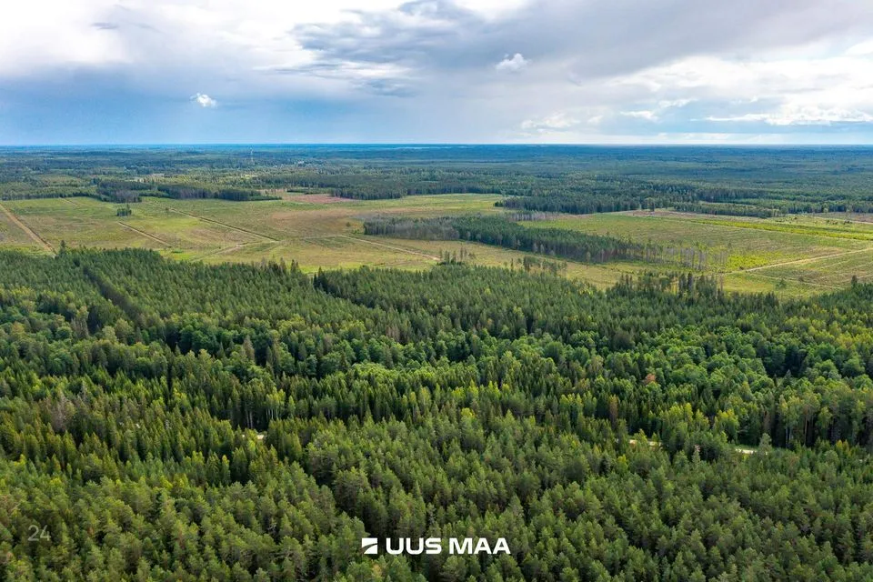 Maatulundusmaa, 23700 m² участок в Anija vald, Pillapalu küla - фото 4