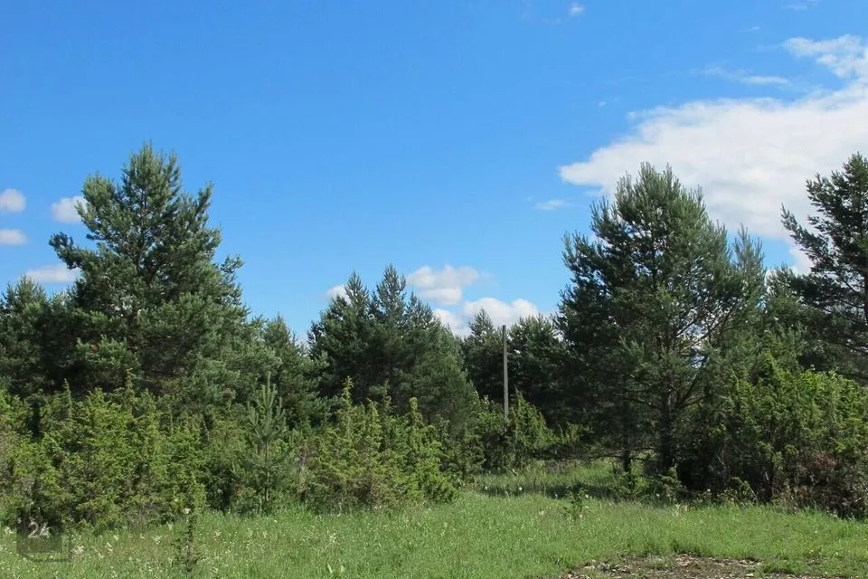 Elamumaa, 4936 m² Maa  -  Saku vald, Saue küla - foto 3