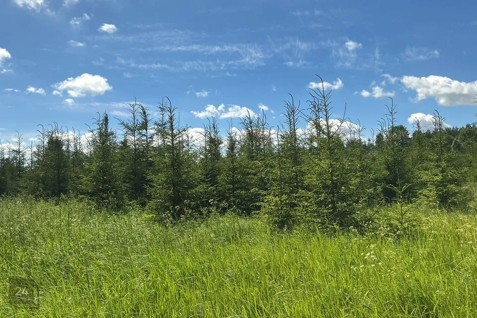 Maatulundusmaa, 23719 m² участок в Rakvere vald, Päide küla - фото 4