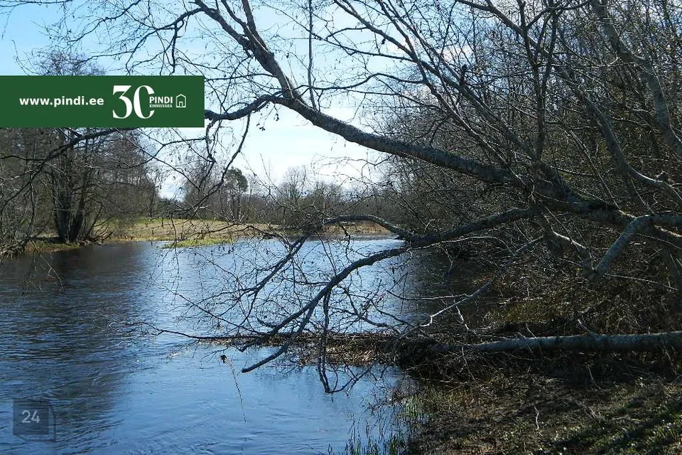 Maatulundusmaa, 51200 m² Maa - Türi vald, Jändja küla - foto 3