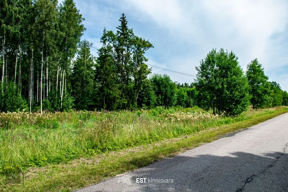 Maatulundusmaa, 10157 m² Maa - Lääneranna vald, Rädi küla - foto 4