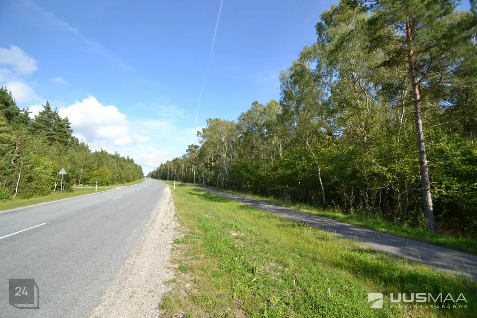 Maatulundusmaa, 199400 m² участок в Saaremaa vald, Muratsi küla - фото 2