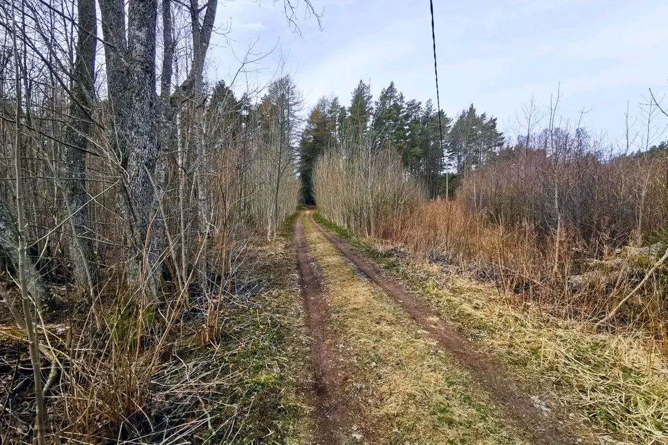 Maatulundusmaa, 17327 m² участок в Lääne-Nigula vald, Elbiku küla / Ölbäck - фото 2