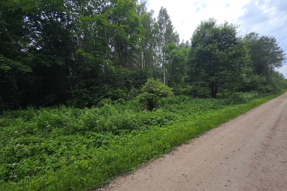 Maatulundusmaa, 100712 m² Maa  -  Rapla vald, Hagudi küla - foto 4