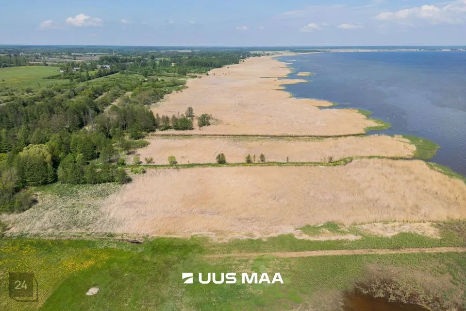Maatulundusmaa, 9126 m² участок в Pärnu linn, Kabriste küla - фото 4