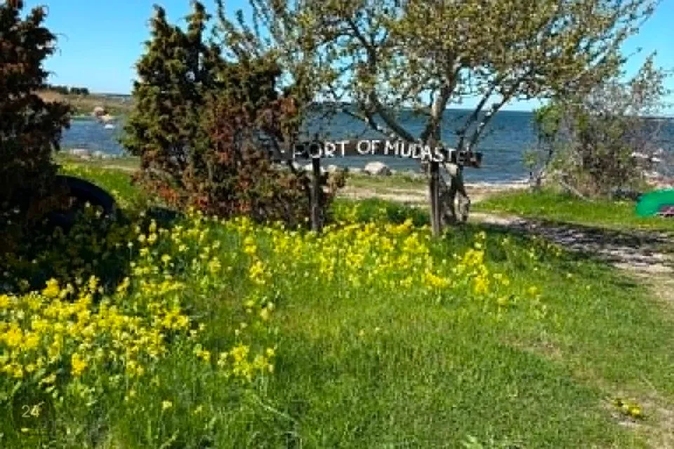 Elamumaa, 43158 m² Maa  -  Hiiumaa vald, Mudaste küla - foto 4