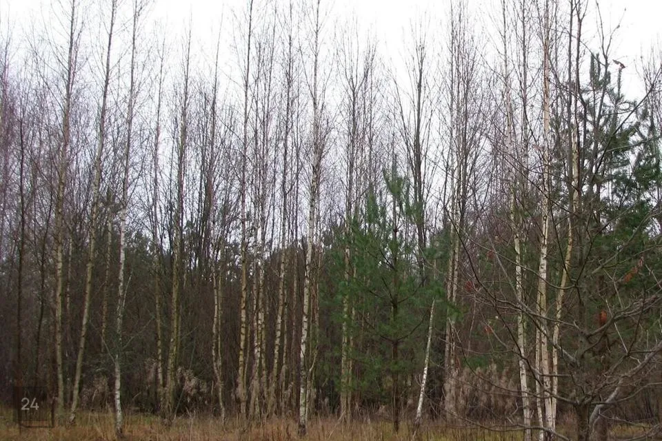 Земля жилой застройки, 1385 m² участок в Türi vald, Türi linn - фото 3