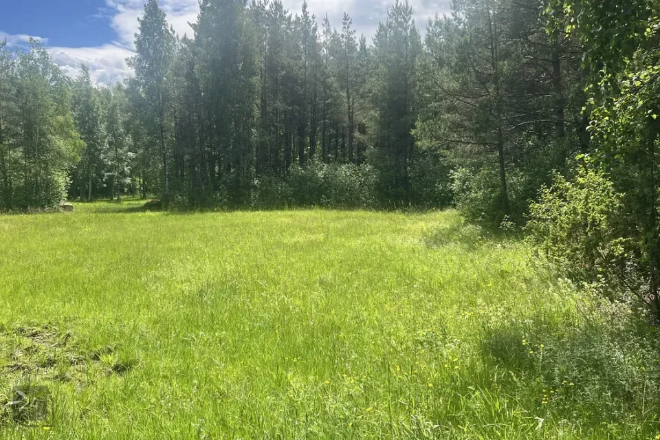 Elamumaa Maa  -  Muhu vald, Pallasmaa küla - foto 2