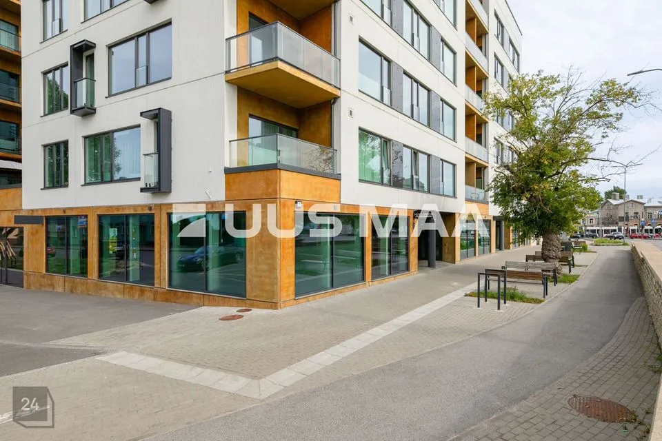 Mitme sihtotstarbega, 133 m² Äripind - Tallinn, Kesklinna linnaosa