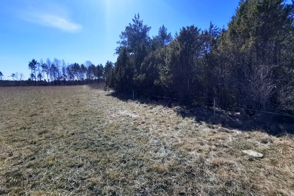 Maatulundusmaa, 31600 m² участок в Lääne-Nigula vald, Aulepa küla / Dirslätt - фото 5