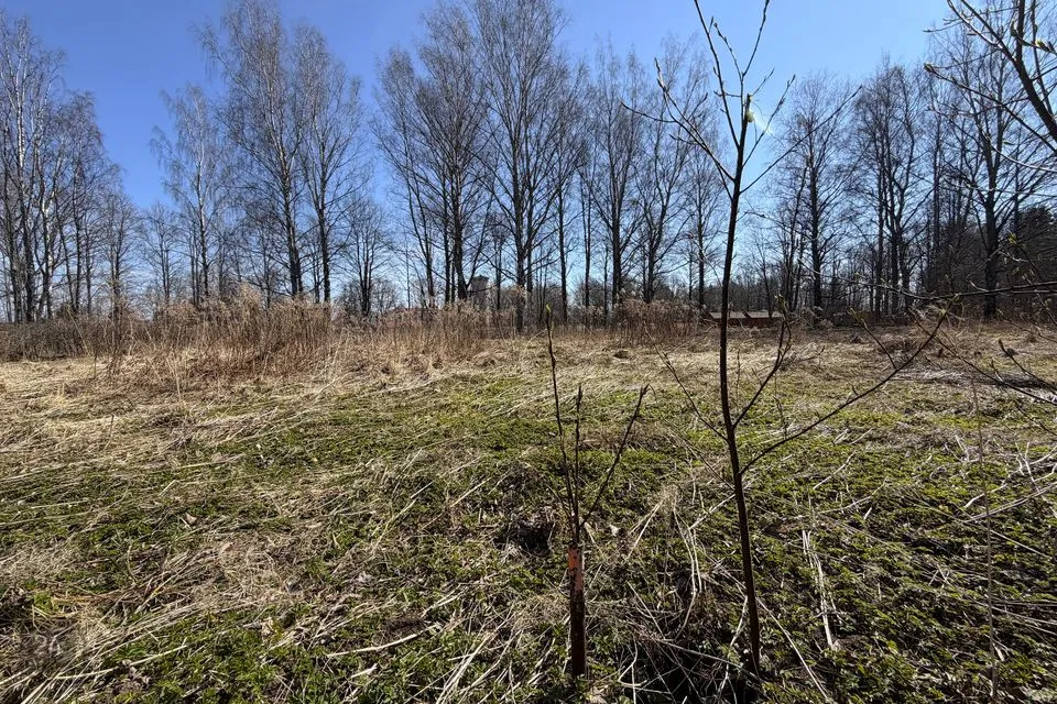 Elamumaa, 1329 m² Maa  -  Peipsiääre vald, Kallaste linn - foto 5