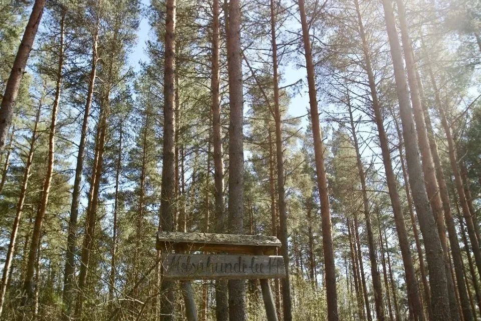 Земля жилой застройки, 7006 m² участок в Jõelähtme vald, Ihasalu küla - фото 2