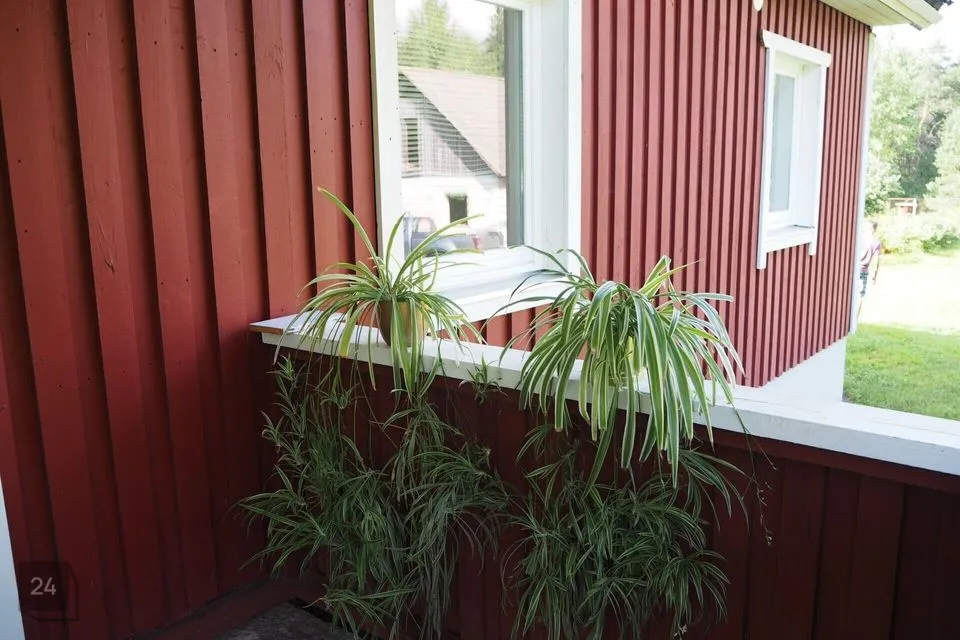 6-toaline Maja - Rae vald, Veskitaguse küla - foto 3