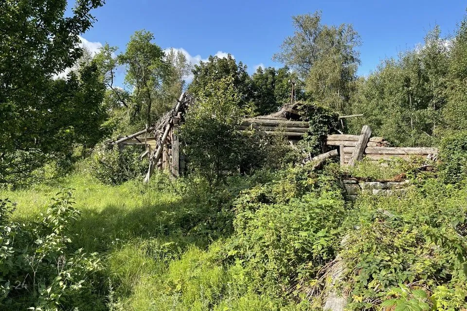 Elamumaa, 16022 m² Maa  -  Saaremaa vald, Linnuse küla - foto 5