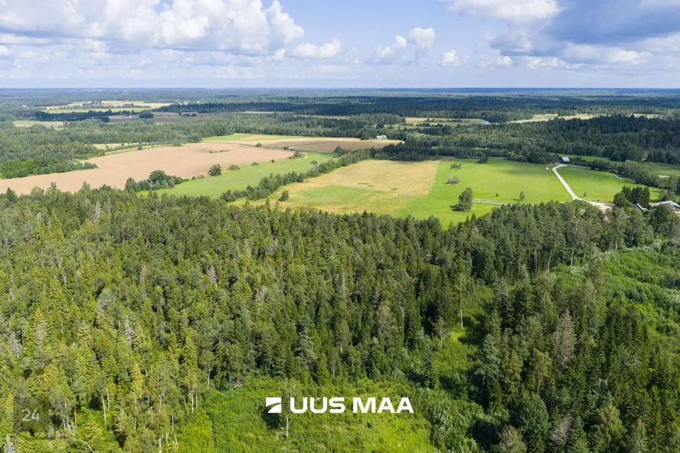 Maatulundusmaa, 165315 m² Maa  -  Saue vald, Pärinurme küla - foto 3
