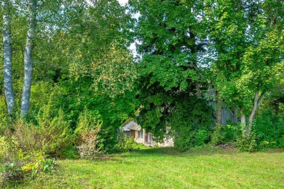 2-toaline Maja  -  Muhu vald, Kallaste küla - foto 3