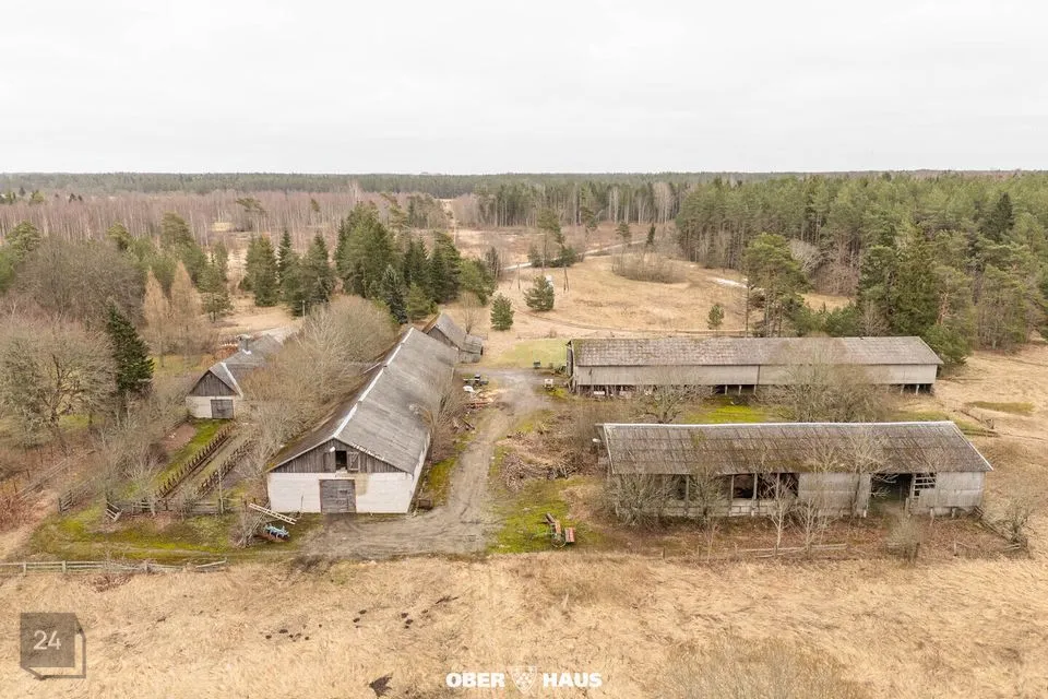 1829 m² business in Lääne-Harju vald, Maeru küla - photo 5