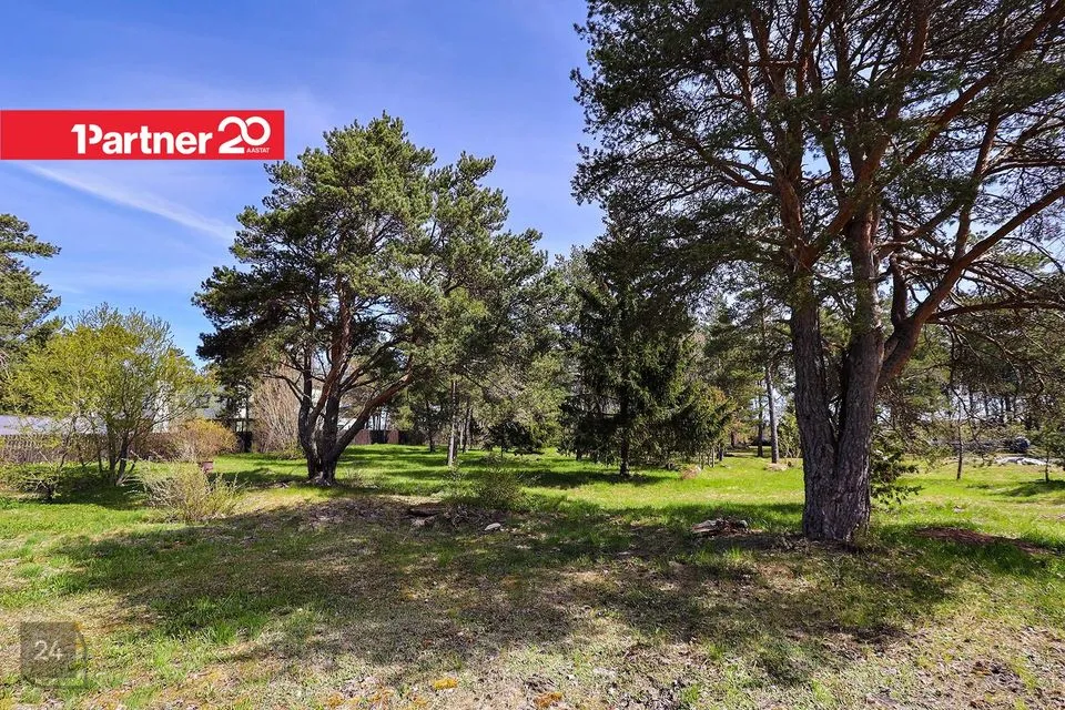 Elamumaa, 3780 m² Maa  -  Harku vald, Naage küla - foto 2